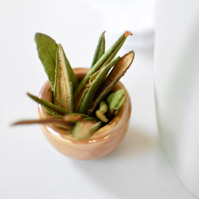 Thé du Labrador (feuilles) - Sommeil