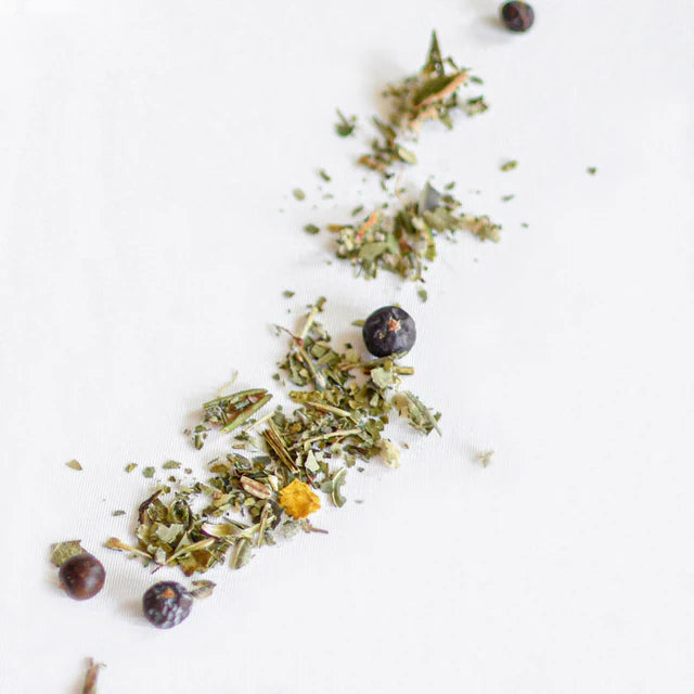 Myrique & échinacée - Système Immunitaire